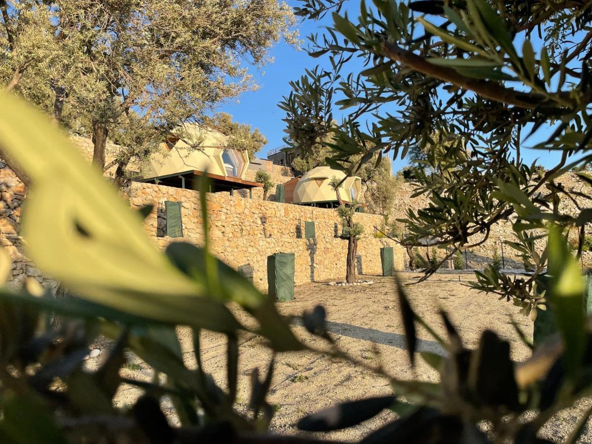 Kesif Zone Eco Resort Retreats Kahya Exterior foto